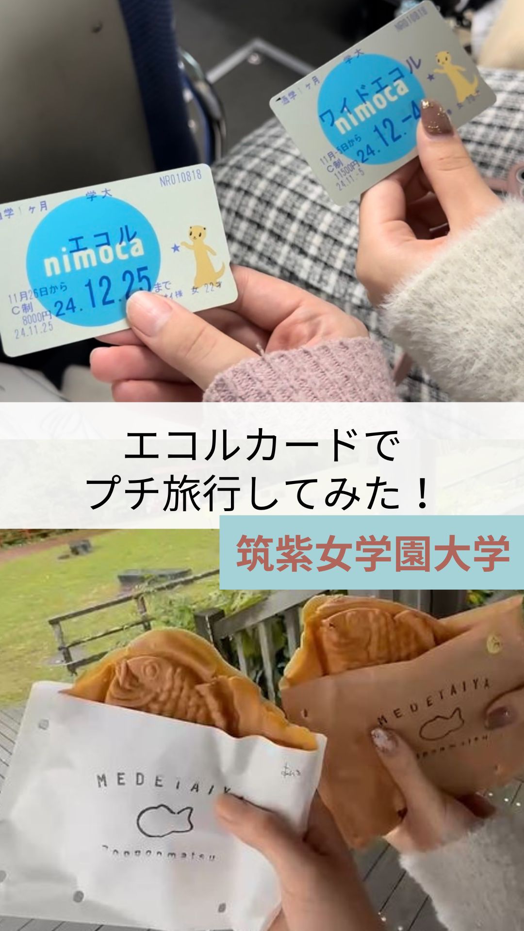 3551578a1bc02fc286468cc8d869c8