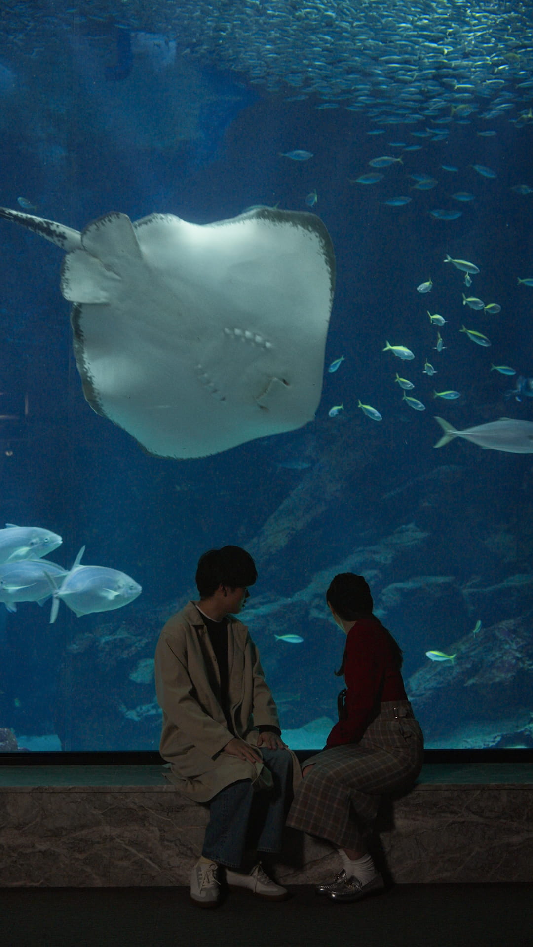 エピソード5 サムネイル