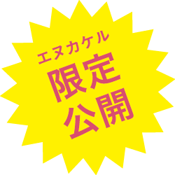 エヌカケル限定公開