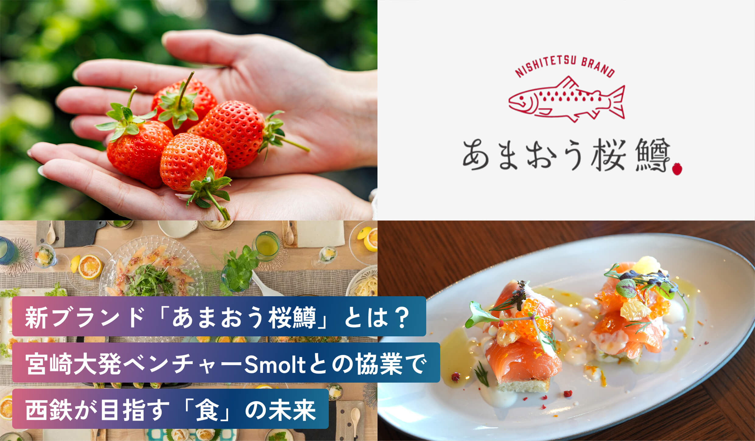 新ブランド「あまおう桜鱒」とは？宮崎大発ベンチャーSmoltとの協業で西鉄が目指す「食」の未来