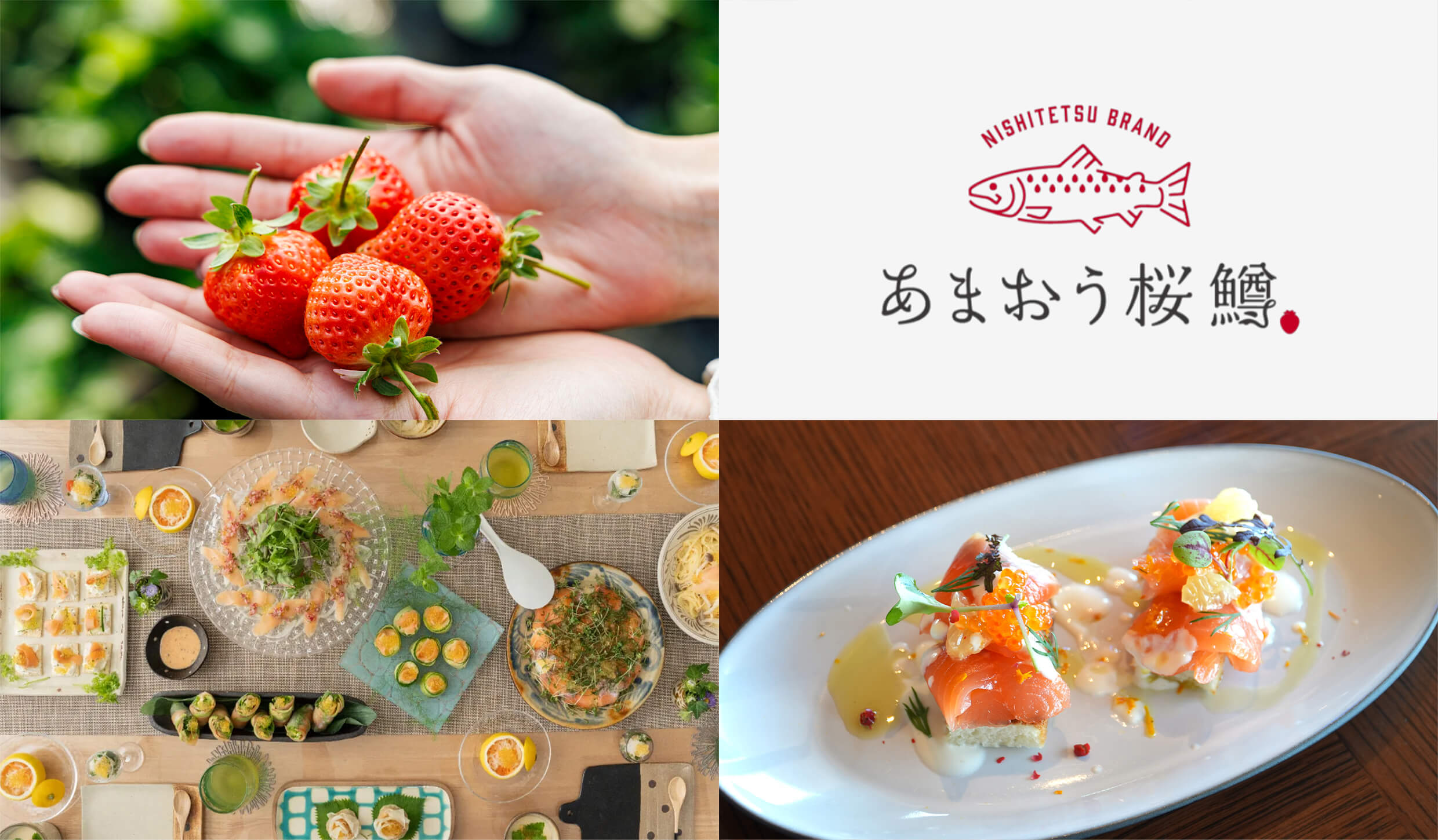 新ブランド「あまおう桜鱒」とは？宮崎大発ベンチャーSmoltとの協業で西鉄が目指す「食」の未来